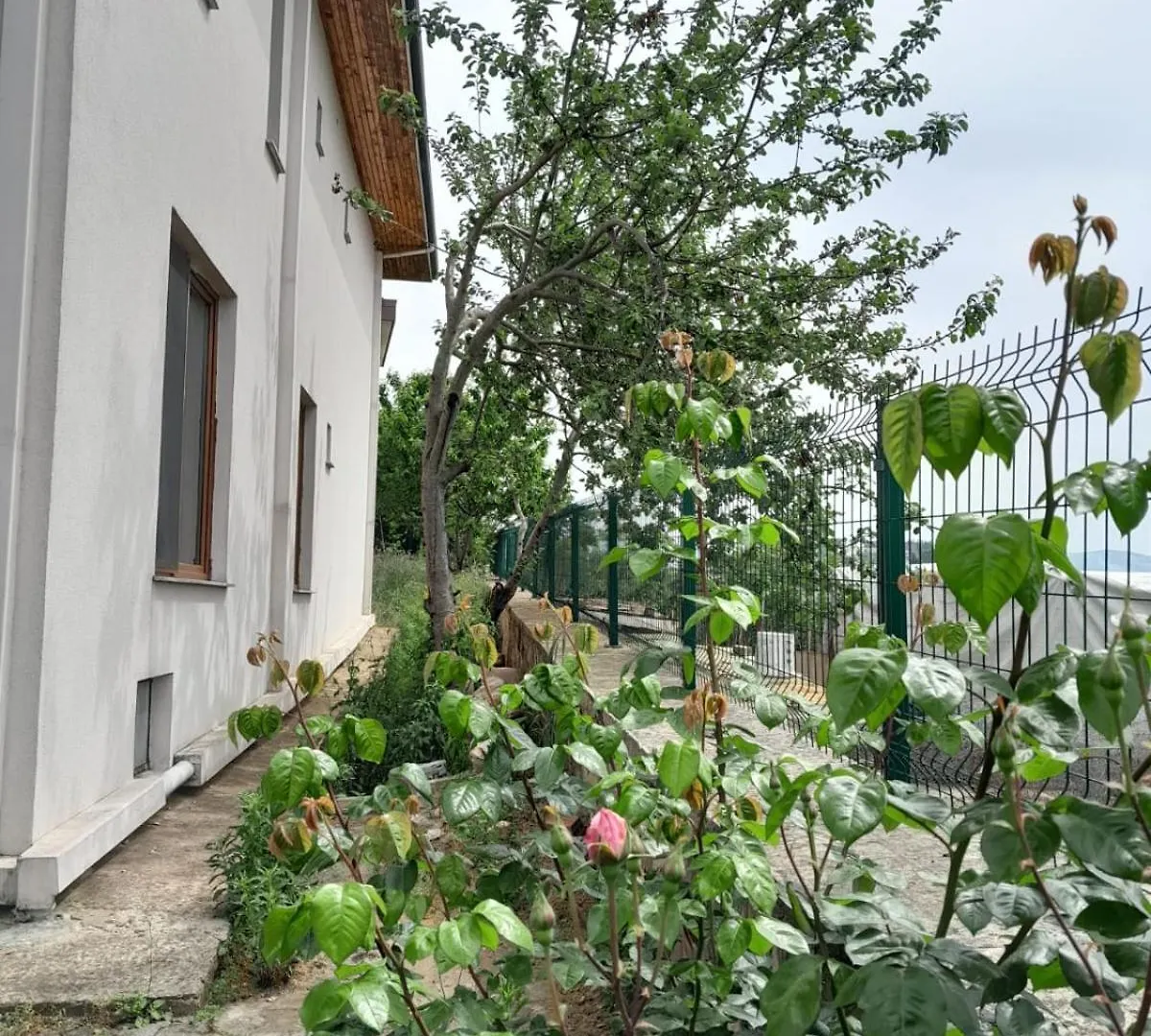 Villa Dogan Suite